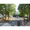 公園