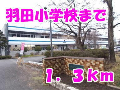 羽田小学校