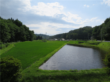 緑豊かな田園風景が身近に感じられます