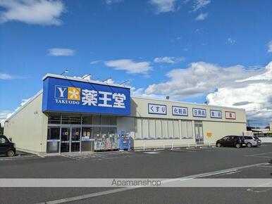（株）薬王堂／一関青葉店