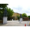 大学