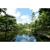 公園