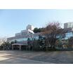 大学