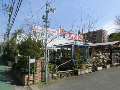 川崎市多摩区 三田１丁目 生田駅 1階 1k 川崎市多摩区の貸マンションの物件情報 賃貸 アパート マンション 一戸建て 中央区の賃貸 売買なら三信リアルエステート cba17f8d7364d1cb