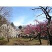 公園