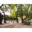 公園