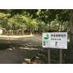 公園