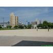 公園