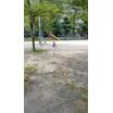 公園