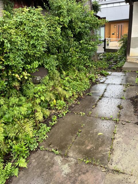 物件画像 北九州市若松区 今光１丁目 (藤ノ木駅) 住宅用地