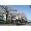 小学校