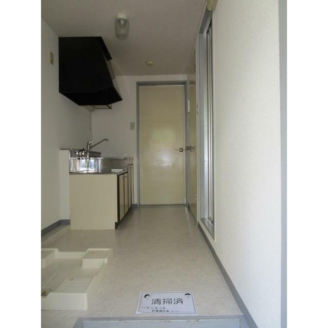 写真は２０６