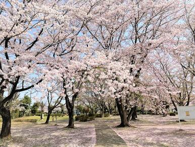 杉戸西近隣公園