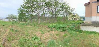 現地（南西より）