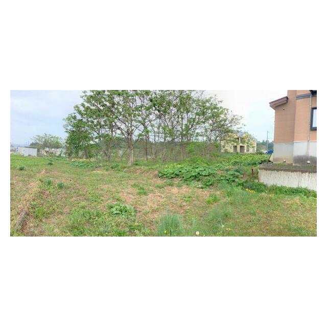 現地（南西より）