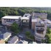 大学