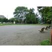 公園