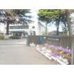 中学校