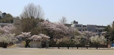 横須賀市立坂本中学校