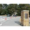 大学