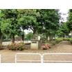 公園