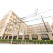 幼稚園、保育園