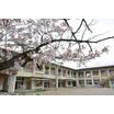 幼稚園、保育園