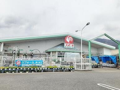 コメリハード＆グリーン塩原関谷