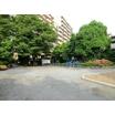 公園