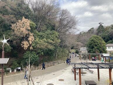 東高根森林公園