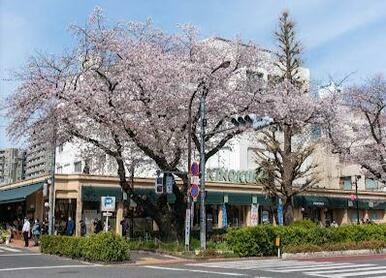 紀ノ国屋国立店