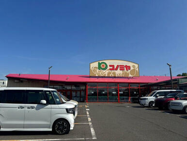 コノミヤ狭山店