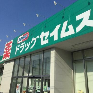 ドラッグセイムス江戸川鹿骨店
