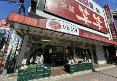 スーパーマーケット セルシオ 和田町店