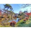 公園