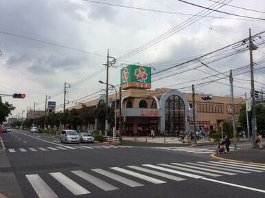 ライフ松戸二十世紀ヶ丘店