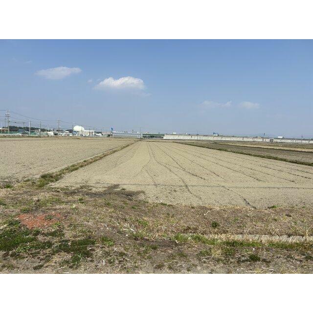  神野新田町字ケノ割