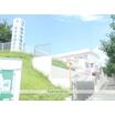 幼稚園、保育園