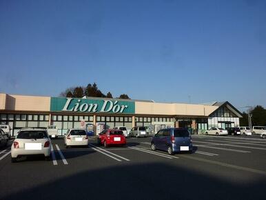 リオン・ドール高根沢店
