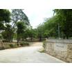 公園