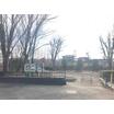 公園