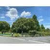 公園