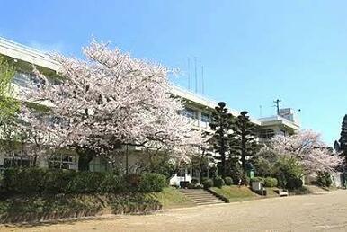 山武市立睦岡小学校