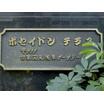 共有部分