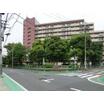 公園