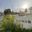 公園