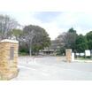 大学