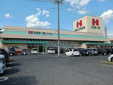 ハローズ戸手店