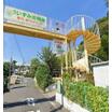 幼稚園、保育園