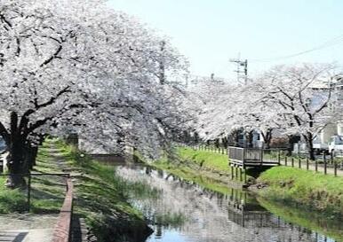 青柳公園